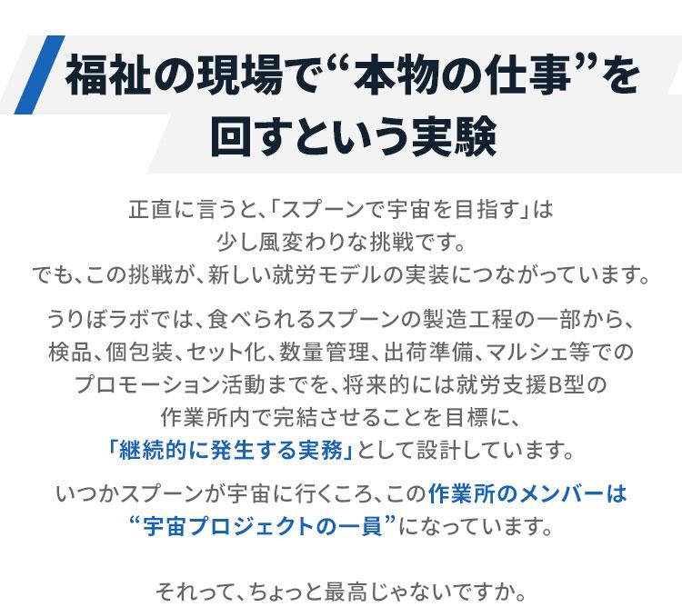 宇宙で食べられるスプーンプロジェクト 紹介（6）